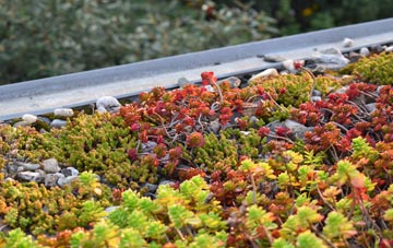 the cost of Kington green roof installation