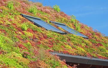 Kington living roof systems